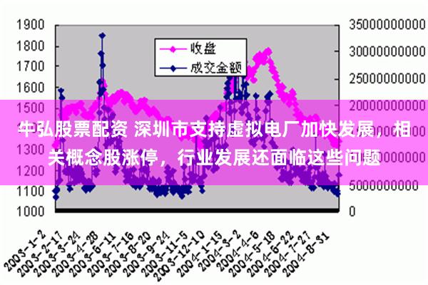 牛弘股票配资 深圳市支持虚拟电厂加快发展，相关概念股涨停，行业发展还面临这些问题