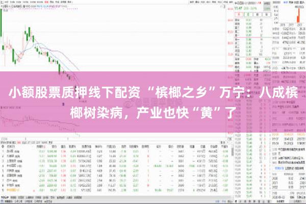 小额股票质押线下配资 “槟榔之乡”万宁：八成槟榔树染病，产业也快“黄”了