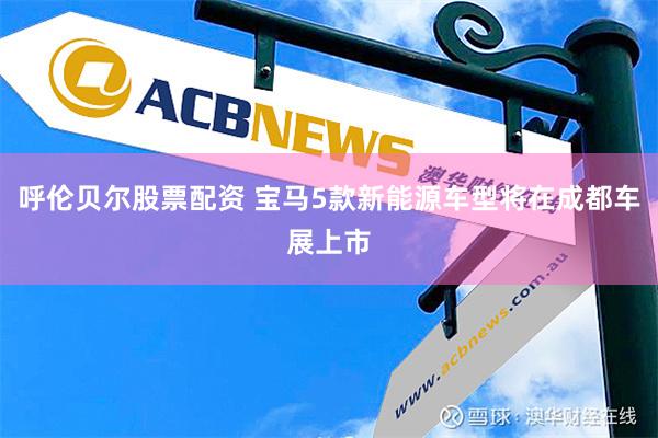 呼伦贝尔股票配资 宝马5款新能源车型将在成都车展上市