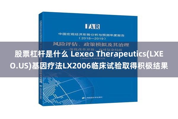 股票杠杆是什么 Lexeo Therapeutics(LXEO.US)基因疗法LX2006临床试验取得积极结果