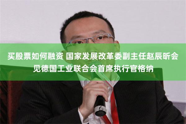 买股票如何融资 国家发展改革委副主任赵辰昕会见德国工业联合会首席执行官格纳