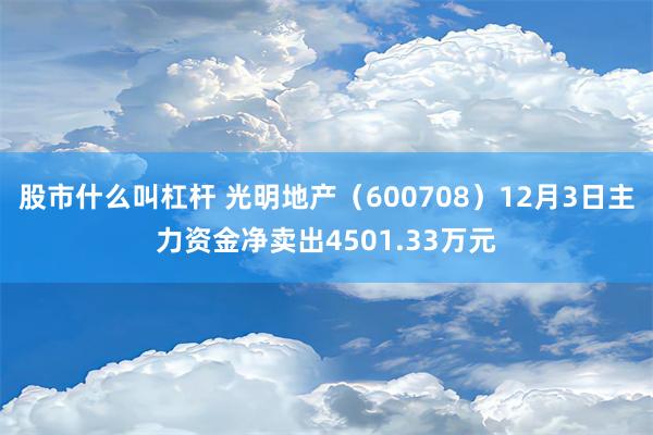 股市什么叫杠杆 光明地产（600708）12月3日主力资金净卖出4501.33万元