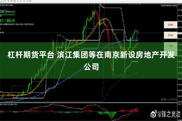 杠杆期货平台 滨江集团等在南京新设房地产开发公司